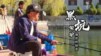 钓鱼视频教学,轻松掌握垂钓技巧