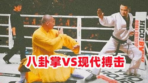 八卦掌挑战搏击视频,传统武术与现代搏击的碰撞对决